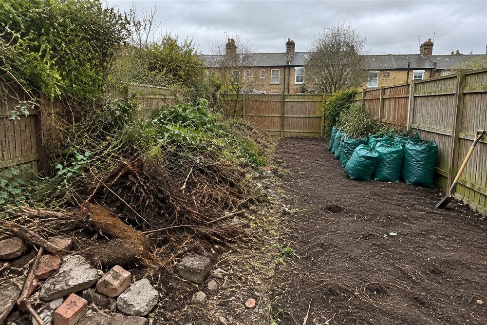 Overgrown garden cleared and prepared for new work